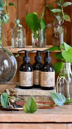 Original Vegan Plant Food 250ml (Houseplant Organic Fertiliser) -Happy House Plants Sale Store 099BB6A5 1992 446B 91A7 40A7A2B508A9 1 201 a