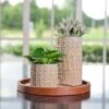 Terni Planter Mustard (14cm Plant Pot)