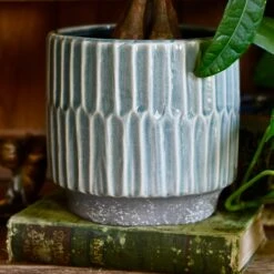 Premium Plant Pot | Onno Denim Ceramic Glaze Planter | 16cm Plant Pot -Happy House Plants Sale Store 28AE5E15 3523 4602 8638 34C3BB75046B 1 201 a