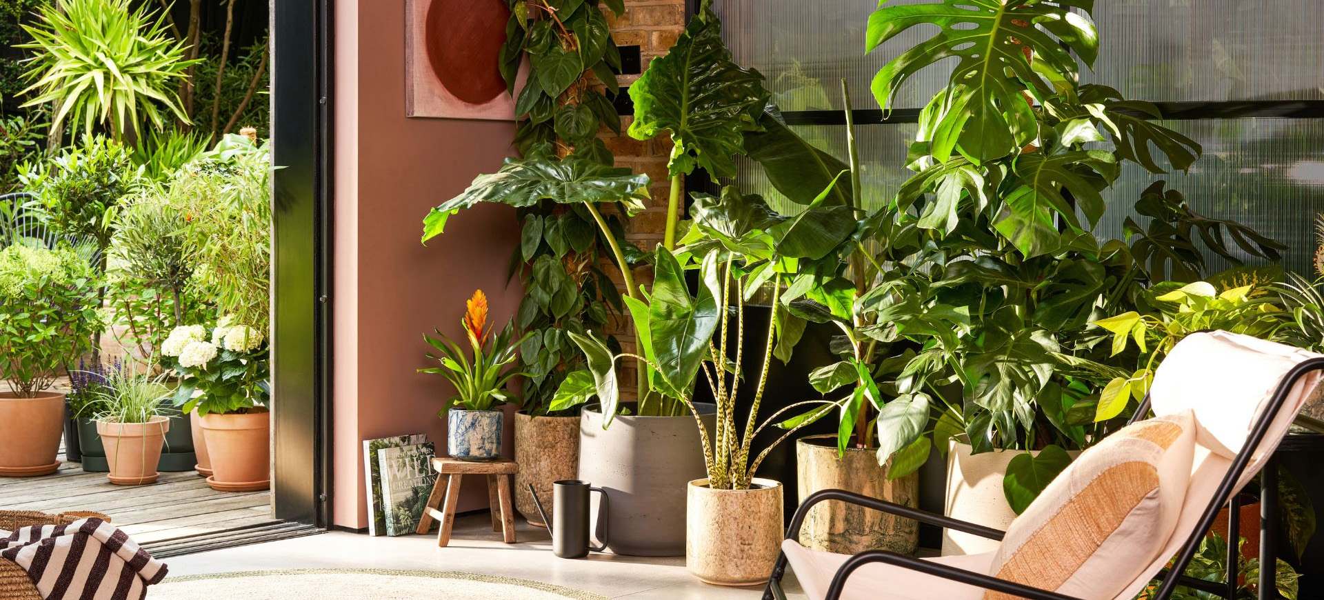 Happy House Plants Sale Store -Happy House Plants Sale Store 3