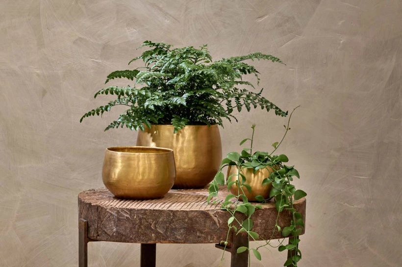 Atsu Brass Planter - Small