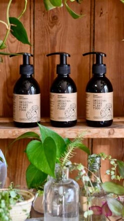 Original Vegan Plant Food 250ml (Houseplant Organic Fertiliser) -Happy House Plants Sale Store 544E8E84 5F06 4D24 AC35 CF89902E4747 1 201 a