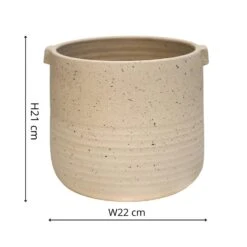 Oat Stoneware Handle Planter (21cm Pot) 13 Oat Stoneware Handle Planter (21cm Pot) -Happy House Plants Sale Store 5 774d7885 3bde 4400 9ef2 c7cebb2d3393 jpg