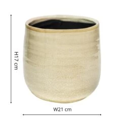Como Cream Premium Glaze Planter (18cm Plant Pot) 7 Como Cream Premium Glaze Planter (18cm Plant Pot) -Happy House Plants Sale Store 5 f6054aac c1ca 454a a19e 35f94041f7a7 jpg