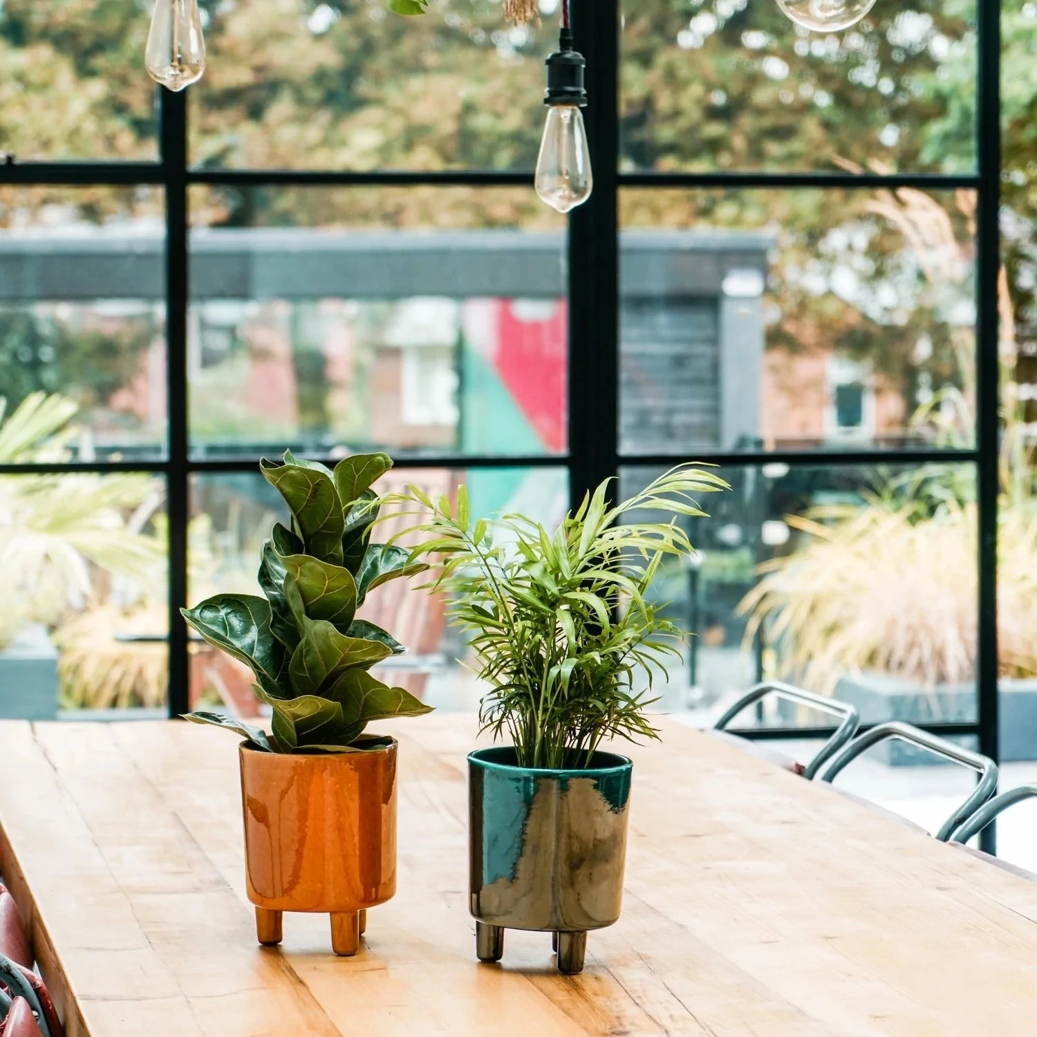 Pisa Mustard Planter | 16cm Pots | Designer Plant Pots 2 Pisa Mustard Planter | 16cm Pots | Designer Plant Pots - Image 2