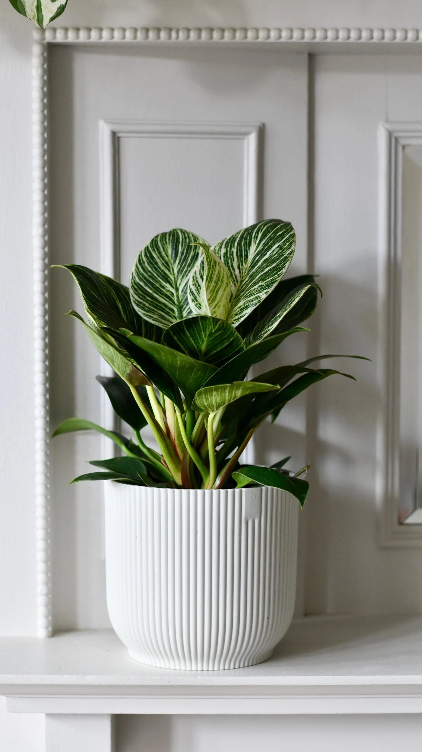 Vibes Fold Round 16cm Silky White 2 Vibes Fold Round 16cm Silky White - Image 2