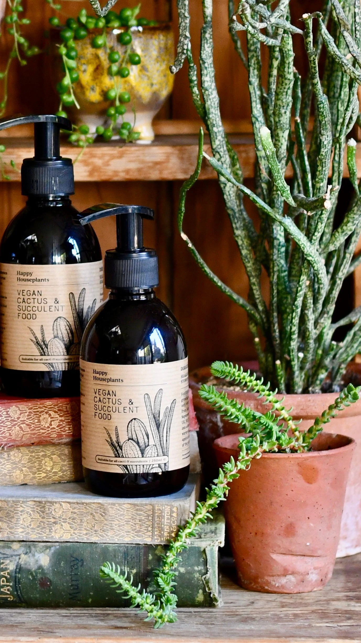 Vegan Cactus & Succulent Food 250ml (Fertiliser For Cacti) 2 Vegan Cactus & Succulent Food 250ml (Fertiliser For Cacti) - Image 2