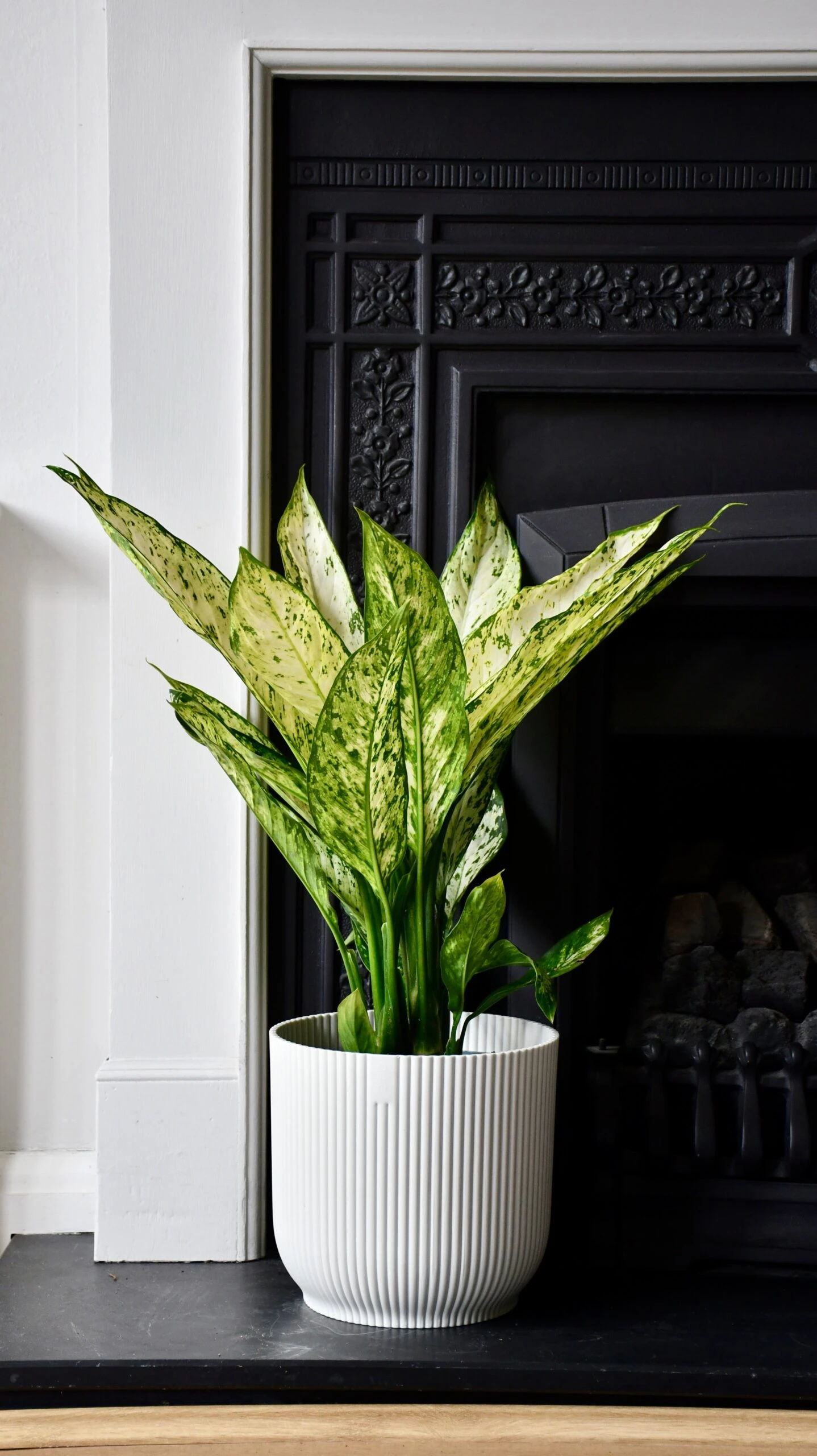 Vibes Fold Round 16cm Silky White 4 Vibes Fold Round 16cm Silky White - Image 4