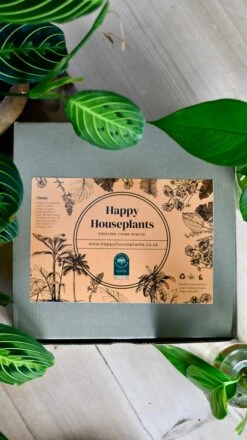 Vegan Cactus & Succulent Food Gift Box -Happy House Plants Sale Store 89657E17 D1CD 442E 95FB CDE4BFC523EE 1 201 a c8e070ec 8f3f 4e34 8107 a4aa3040dfd7