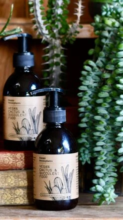 Vegan Cactus & Succulent Food Gift Box -Happy House Plants Sale Store 8B3F5609 6921 488F BA1D 1AAA5FC00222 1 201 a 2f7ab8b9 2a5a 46b9 8414 4745c2aa6856