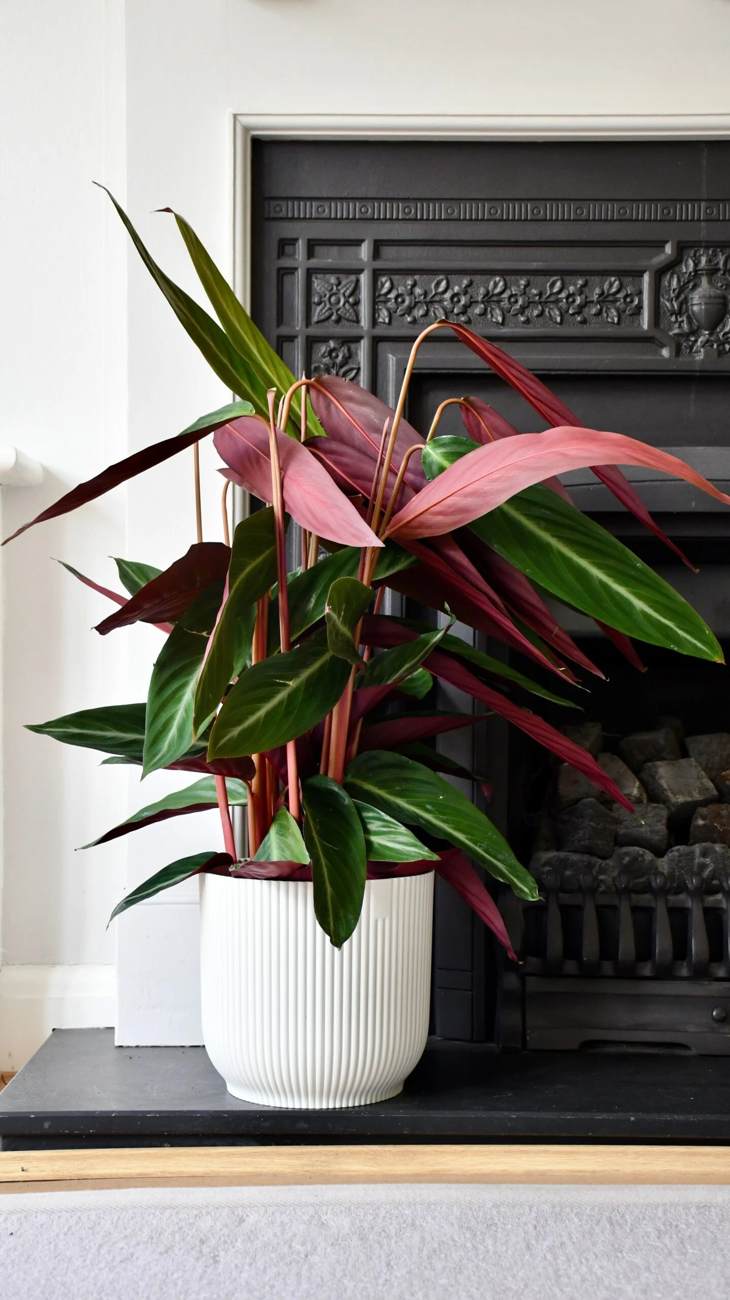 Vibes Fold Round 16cm Silky White 8 Vibes Fold Round 16cm Silky White - Image 8