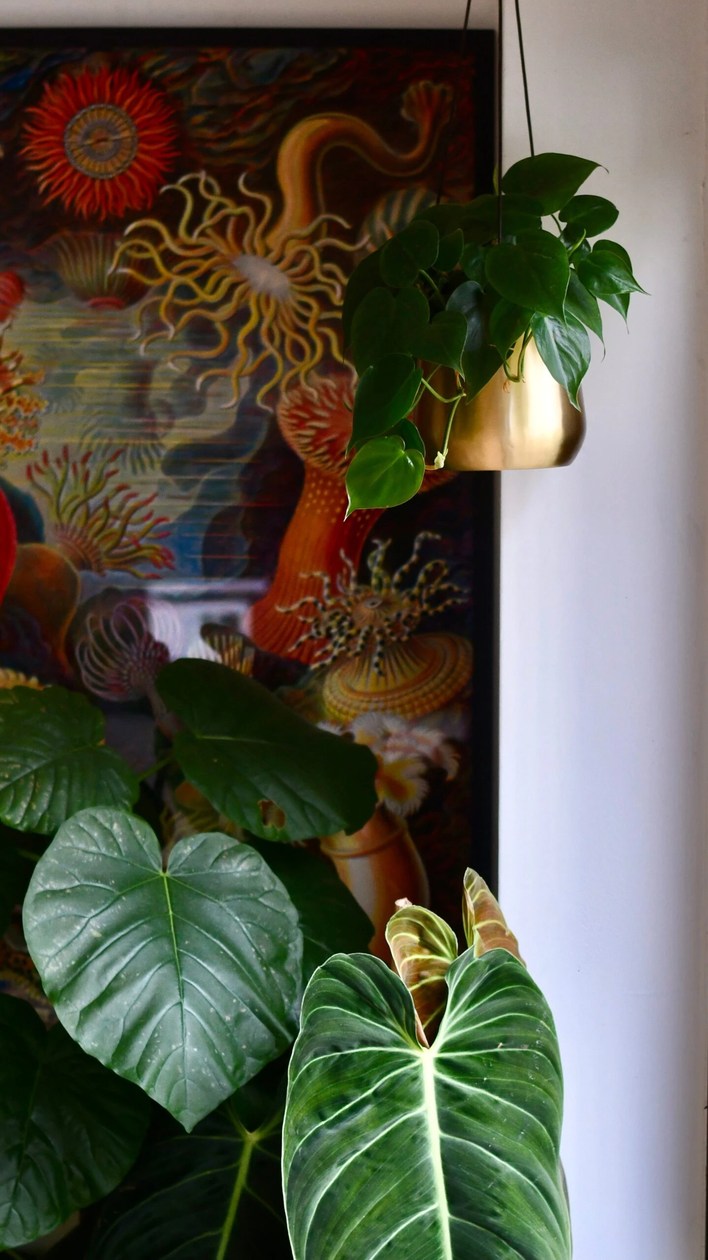 Philodendron Scandens And Atsu Brass Hanging Planter 5 Philodendron Scandens And Atsu Brass Hanging Planter - Image 5