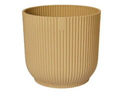 Oxalis Triangularis 'Purple Shamrock’ & Vibes Pot 22 Oxalis Triangularis 'Purple Shamrock’ & Vibes Pot -Happy House Plants Sale Store 98bb8d 08c88943a6f0491b8f5f4d964ddb1011 mv2 3