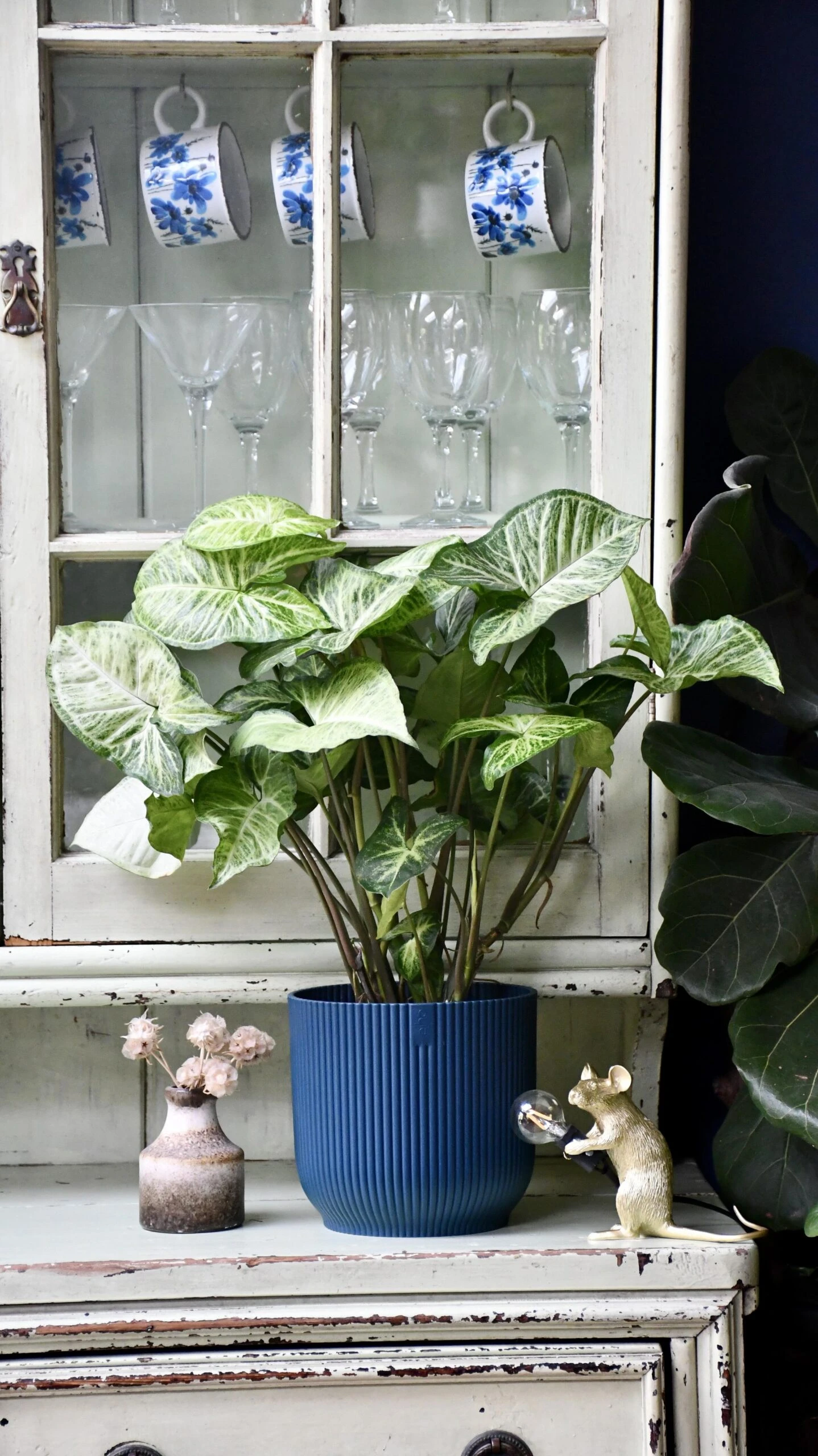 Syngonium White Butterfly And Vibes Pot 2 Syngonium White Butterfly And Vibes Pot - Image 2