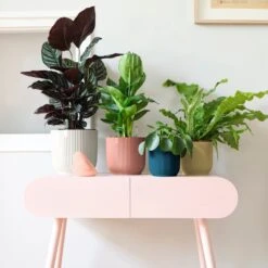 Vibes Fold Round 18cm