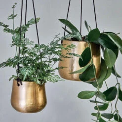 Atsu Brass Hanging Planter 10cm Wide -Happy House Plants Sale Store 98bb8d 1377316a11844bf683a7b5323340ce76 mv2
