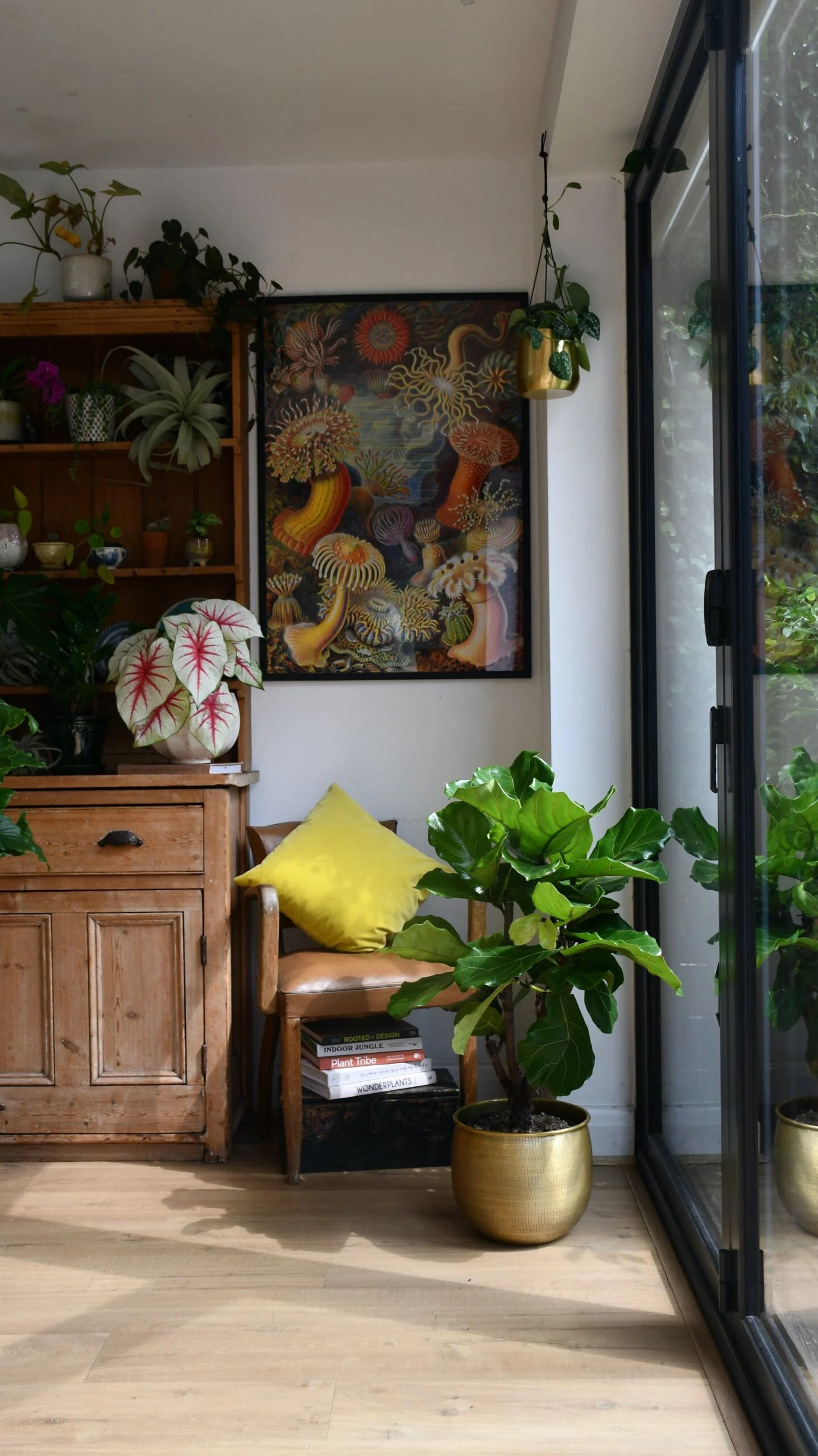 Fiddle Leaf Fig Tree | Ficus Lyrata 100cm 3 Fiddle Leaf Fig Tree | Ficus Lyrata 100cm - Image 3