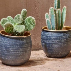 Tembesi Etched Planter - Antique Black & Brass Large -Happy House Plants Sale Store 98bb8d 1704bb9a605940709e31e91f56c94f98 mv2