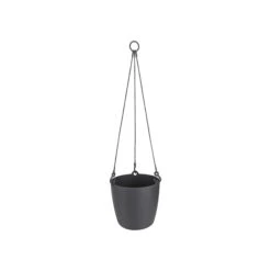 Brussels Hanging Basket 18cm -Happy House Plants Sale Store 98bb8d 19cc206127964db58ee23b183a44dc10 mv2
