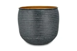 Sansevieria Trifasciata Zeylanica And Black Etched Planter -Happy House Plants Sale Store 98bb8d 1c07e5ce745a4f64a51253fec8b77a8e mv2 6fed9705 09df 44a9 b5ec 1040674d7e03