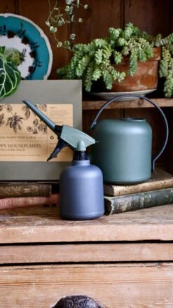 Soft Water Sprayer For Houseplants 12 Soft Water Sprayer For Houseplants -Happy House Plants Sale Store 98bb8d 2d257cea632a4c309741a7e5144fd2b0 mv2