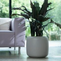 PURE BEADS POT 27cm -Happy House Plants Sale Store 98bb8d 306ad0cba3974567bd92bb6cabc76b51 mv2