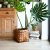 Natural Basket Planter - Brown 30cm