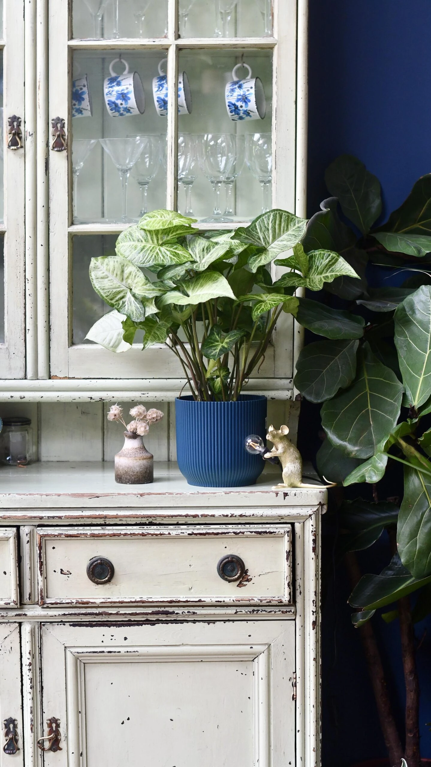 Syngonium White Butterfly And Vibes Pot 4 Syngonium White Butterfly And Vibes Pot - Image 4