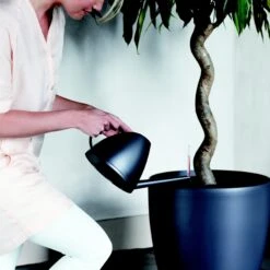 Brussels Round Plant Pot 35cm (large Indoor Plant Pots) -Happy House Plants Sale Store 98bb8d 47bb283bfd9e4ae1bd1e29215bb98812 mv2 e2f886a0 30e8 4e16 a305 7d1873fb71cb