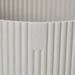 Vibes Fold Round 14cm -Happy House Plants Sale Store 98bb8d 5d26c4e45e894f8faaa829188aa60ac7 mv2 de73efb3 8b7c 4995 8a4b f5fd86f0bdf6