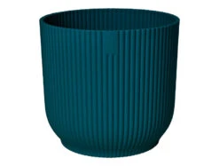 Oxalis Triangularis 'Purple Shamrock’ & Vibes Pot 21 Oxalis Triangularis 'Purple Shamrock’ & Vibes Pot -Happy House Plants Sale Store 98bb8d 7456baebbe6642dc89fc235d9a136b0d mv2 2