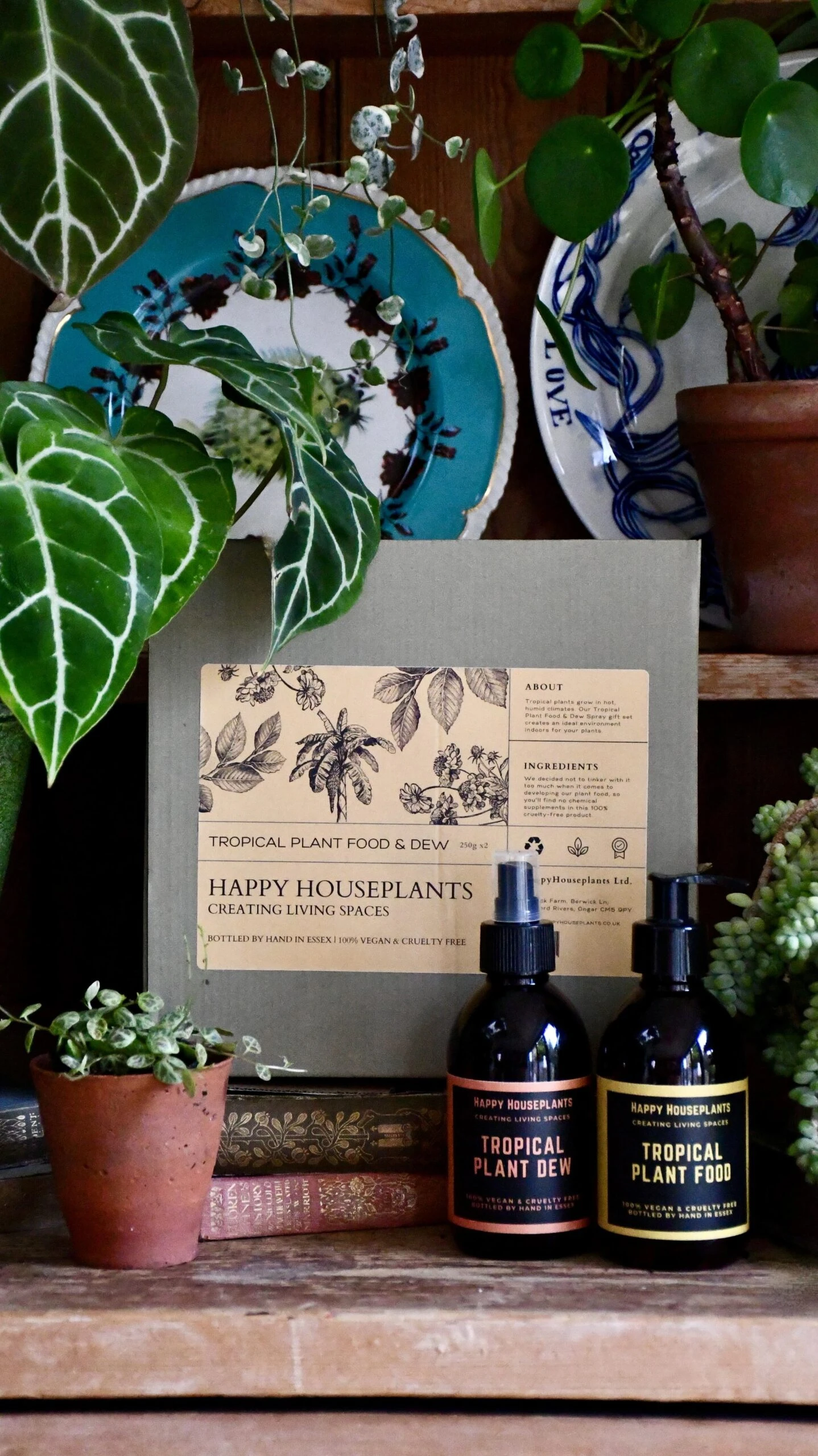 Happy House Plants Sale Store -Happy House Plants Sale Store 98bb8d 87f3581213474ee6886b65f834f7fbc8 mv2 scaled 1