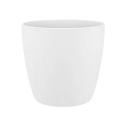 Brussels Round Plant Pot 16cm -Happy House Plants Sale Store 98bb8d 900e3d20f22640b7bde593b95984371c mv2 f5209d81 99ed 4093 aeae e85fa2fe4a9e