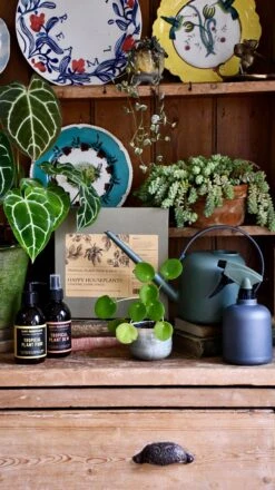 Deluxe Organic Plant Care Set -Happy House Plants Sale Store 98bb8d 918622be450c434c977a231d76f979aa mv2