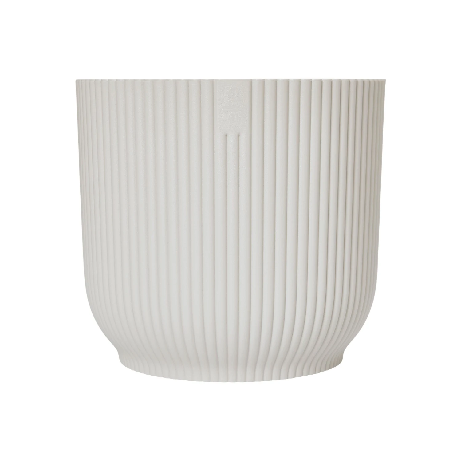 Aspidistra Elatior And Vibes Pot (Cast Iron Plant) 5 Aspidistra Elatior And Vibes Pot (Cast Iron Plant) - Image 5