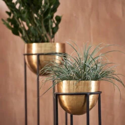 Atsu Planter Stand 7 Atsu Planter Stand -Happy House Plants Sale Store 98bb8d a3daea427c3a4e3f8e52f2c3534ffa86 mv2