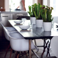 Brussels Round Plant Pot 14cm -Happy House Plants Sale Store 98bb8d abfebf391f6a4524a872cb60d39010e2 mv2 c0d936cc a3e8 4c95 b14a 93277ab276d0