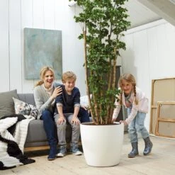 Brussels Round Plant Pot 47cm -Happy House Plants Sale Store 98bb8d b1b22cd5b2964ba9ab7752f2579669c3 mv2