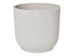 Oxalis Triangularis 'Purple Shamrock’ & Vibes Pot 24 Oxalis Triangularis 'Purple Shamrock’ & Vibes Pot -Happy House Plants Sale Store 98bb8d be09b5d8c3f445b4bfe512560255157d mv2 e1852c10 da23 41b4 9aa5 5f4a22a32032