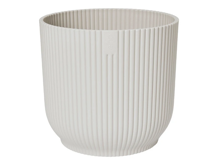 Oxalis Triangularis 'Purple Shamrock’ & Vibes Pot 11 Oxalis Triangularis 'Purple Shamrock’ & Vibes Pot - Image 11