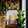 Fiddle Leaf Fig (Ficus Lyrata & Vibes Pot)