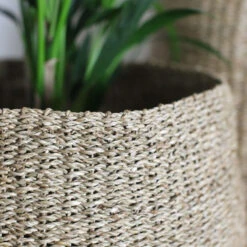 Noko Seagrass Basket -Happy House Plants Sale Store 98bb8d c651b1d46bdc43639f6e6352e78f31dd mv2