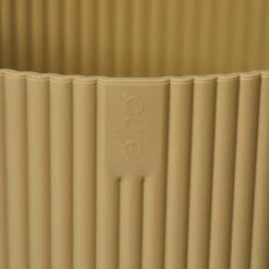 Vibes Fold Round 14cm -Happy House Plants Sale Store 98bb8d c79142ab106c4a578196c72134d37586 mv2 ff43ba63 f767 4e24 98c5 835a0c2602f0