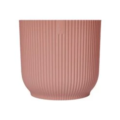 Vibes Fold Round 22cm -Happy House Plants Sale Store 98bb8d cd8d82a287b14739b5f2ed59f33e9611 mv2 1da3641f 3ecc 4e93 abe3 38eea79a0eb6