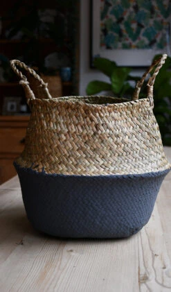 XL Variegated Monstera -Happy House Plants Sale Store 98bb8d dfa9459ffd7e4f3280e5f62705fc0eaa mv2 5e58c5bd 4a89 42bc bef3 6c595a0344ca