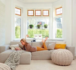 Scindapsus Pictus Trebie With A Brussels Hanging Planter -Happy House Plants Sale Store 98bb8d e14131313a4c4668bbb573151bb7e86e mv2 99963116 2c87 4747 b3e2 f725cc9ac27c