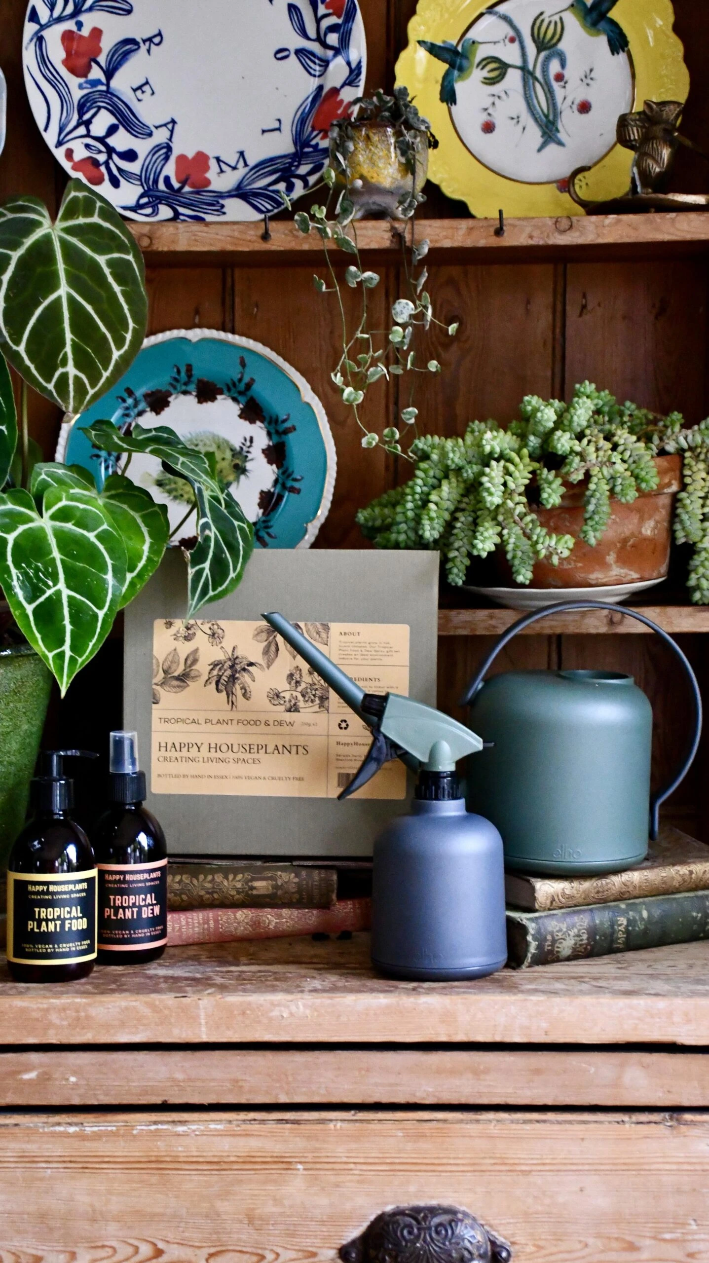 Soft Water Sprayer For Houseplants 4 Soft Water Sprayer For Houseplants - Image 4