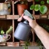 Soft Water Sprayer For Houseplants