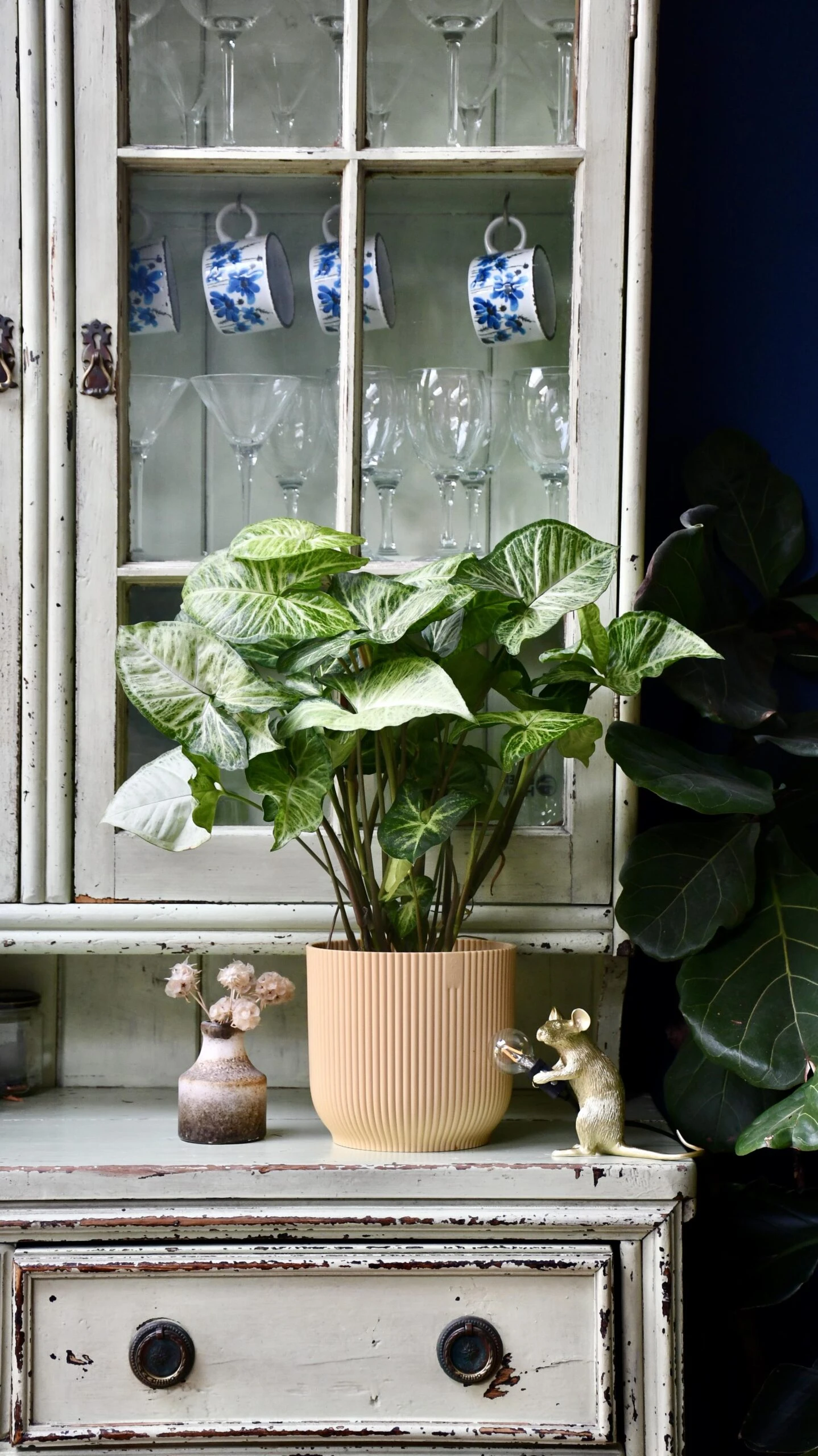 Syngonium White Butterfly And Vibes Pot 6 Syngonium White Butterfly And Vibes Pot - Image 6