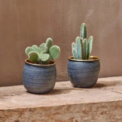 Tembesi Etched Planter - Antique Black & Brass Large -Happy House Plants Sale Store 98bb8d fff6ef6841004c16bce1abad0ebd4f47 mv2